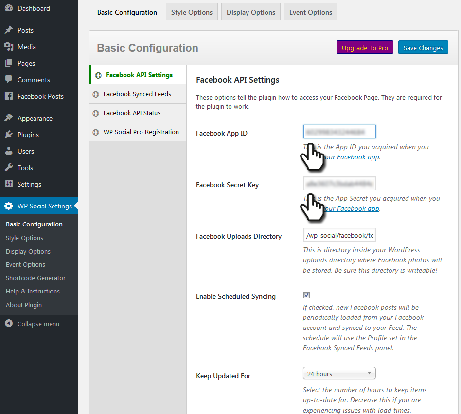 WP Social Basic Settings screen.