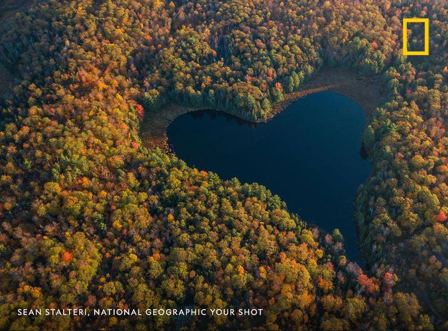 Oaks, maples, and dogwoods each begin to transition from green to reveal shades of crimson and russet. Hickories and aspens show off brilliant golds and yellows. In the Northern Hemisphere, the heart of fall is here. https://on.natgeo.com/2QN36pV