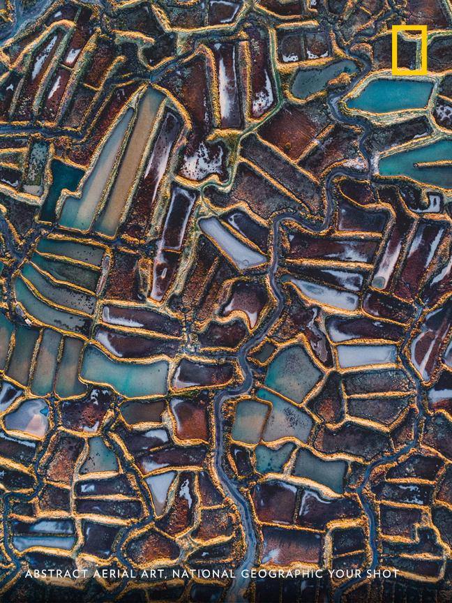 Within the small town of La Tremblade—on the south-west coast of France—this aerial view shows the intricate divisions of oyster farms found in the marshlands. https://on.natgeo.com/2DWJjB5