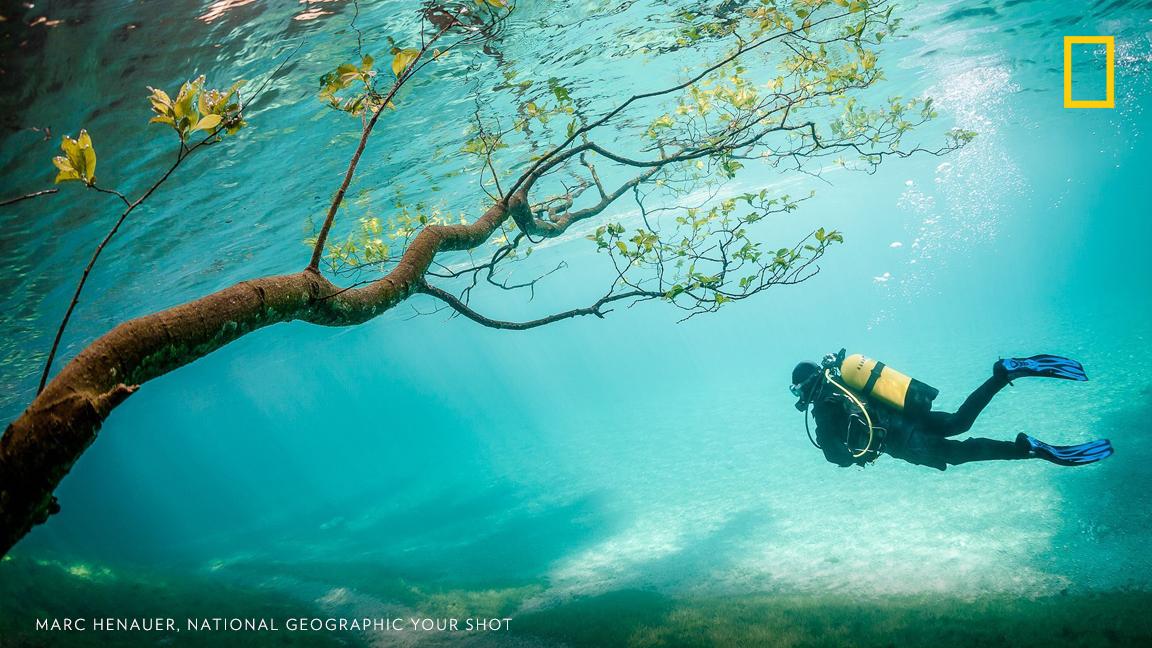 Photographer Marc Henauer, curator of Your Shot's Beauty & Awe assignment, is featured in the new National Geographic photo book "Spectacle." Monday, 12/10 at 12pm ET, Marc will be here to answer all your photo questions! Learn more about the assignment and start sharing your questions in the comments below. https://on.natgeo.com/2QEANxw