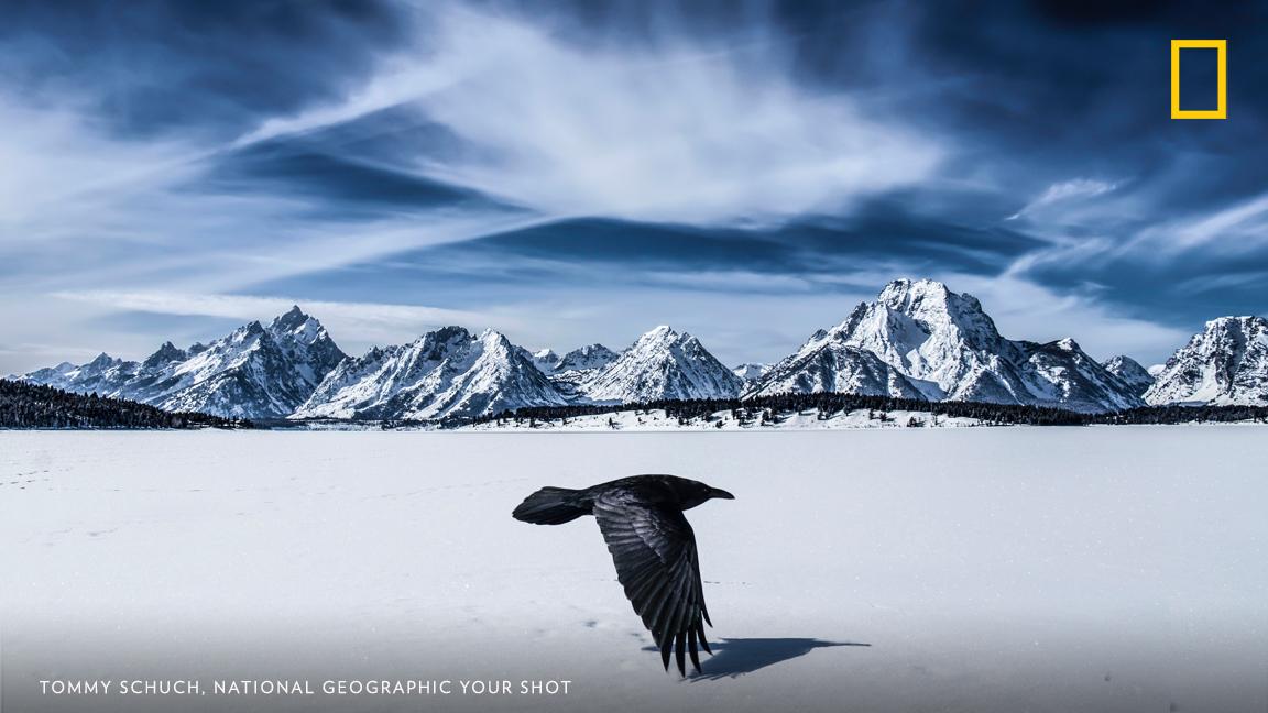 "The Grand Tetons in Wyoming are not currently home for me, but it sure feels like it when I'm here," writes photographer Tommy Schuch, who captured one of our favorite photos of the year. See more: https://on.natgeo.com/2PyrvP1