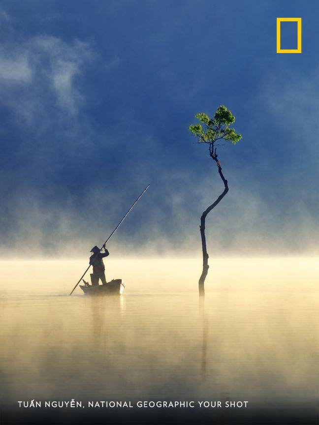 This serene moment on a freshwater lake in Vietnam was captured by Your Shot photographer Tuấn Nguyễn. https://on.natgeo.com/2E8ssJY