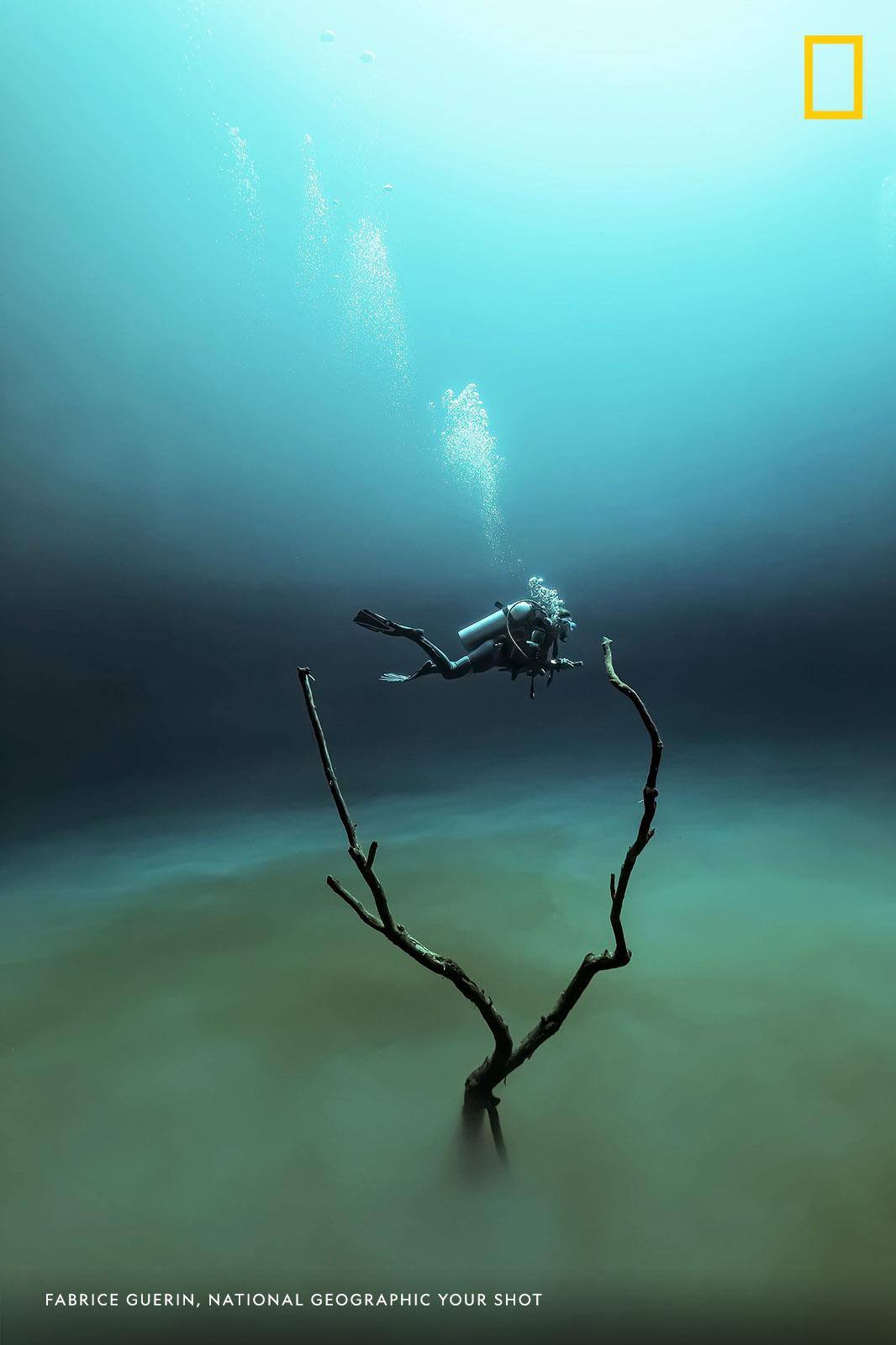 "It’s an amazing and unique experience in the life of an underwater photographer," writes Fabrice Guerin. "The mysticism and beauty of this underwater landscape makes me feel like I discovered another planet.” https://on.natgeo.com/2EAjK99