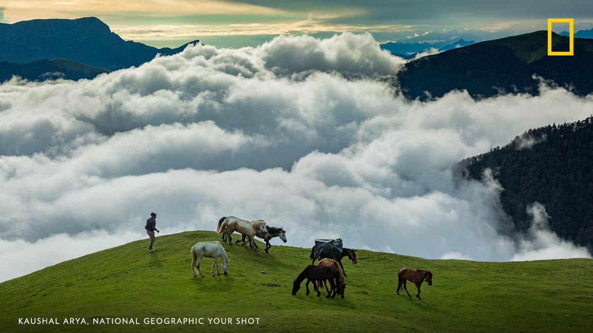 After hiking in the rain all day, Your Shot photographer Kaushal Arya documented this dreamy scene in Uttarakhand, India. https://on.natgeo.com/2Uk0LUI
