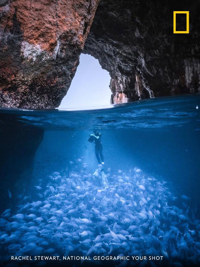 "With numerous caves, tunnels and an abundance of marine life, the Poor Knights Islands Marine Reserve is a haven for many underwater species. It’s also a popular spot for divers," writes photographer Rachel Stewart. https://on.natgeo.com/2W8o3Pm