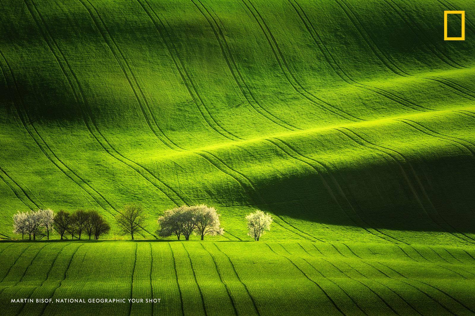 Your Shot photographer Martin Bisof found out that he didn’t need to travel far to find this beautiful landscape. “In the Moravian region located in the Czech Republic it’s possible to find such beauty during the spring time.” https://on.natgeo.com/2Pyzdu1