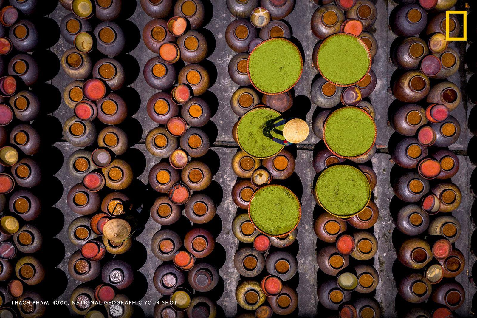 “Soya sauce (or Tương) is a traditional Vietnamese sauce,” writes Your Shot photographer Thạch Phạm Ngọc. “It is made from fermented beans and then incubated in Earthenware jars and dried in the sun.” https://on.natgeo.com/2ZiJ3U3